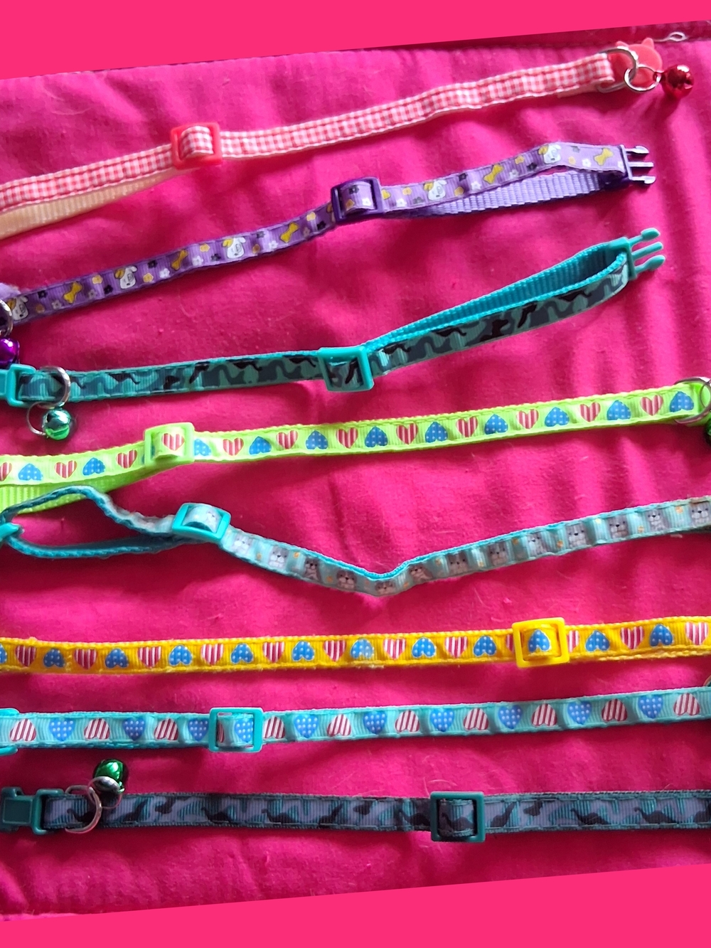 Kids Adjustable Cat Collars - Assorted Pink, Purple, Teal, Yellow, Blue, Gray